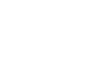 Cerberus Logo